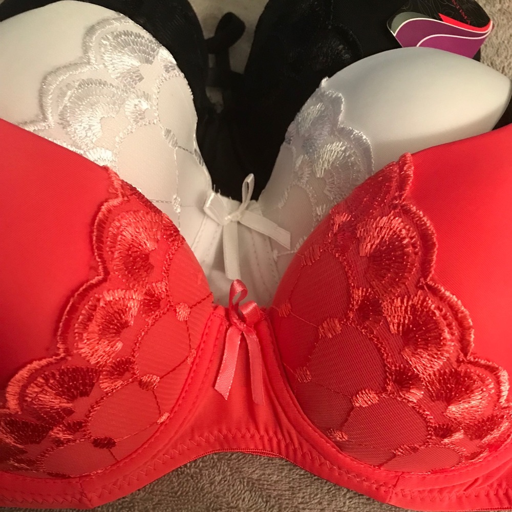 💋Eva Intima Boutique Underwire Bra NWT
